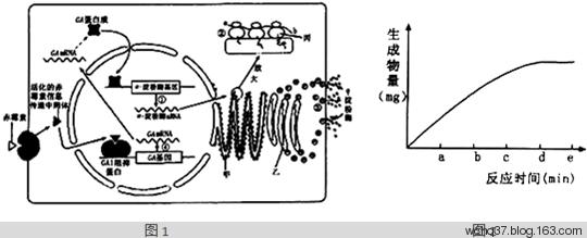 BJL平台-诺基亚156亿欧元收购阿尔卡特朗讯(图1) BJL平台集团
