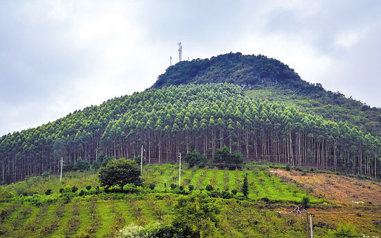 马克安德森 2015年可能发生的科技和商业大事件【BJL平台集团】(图1) BJL平台