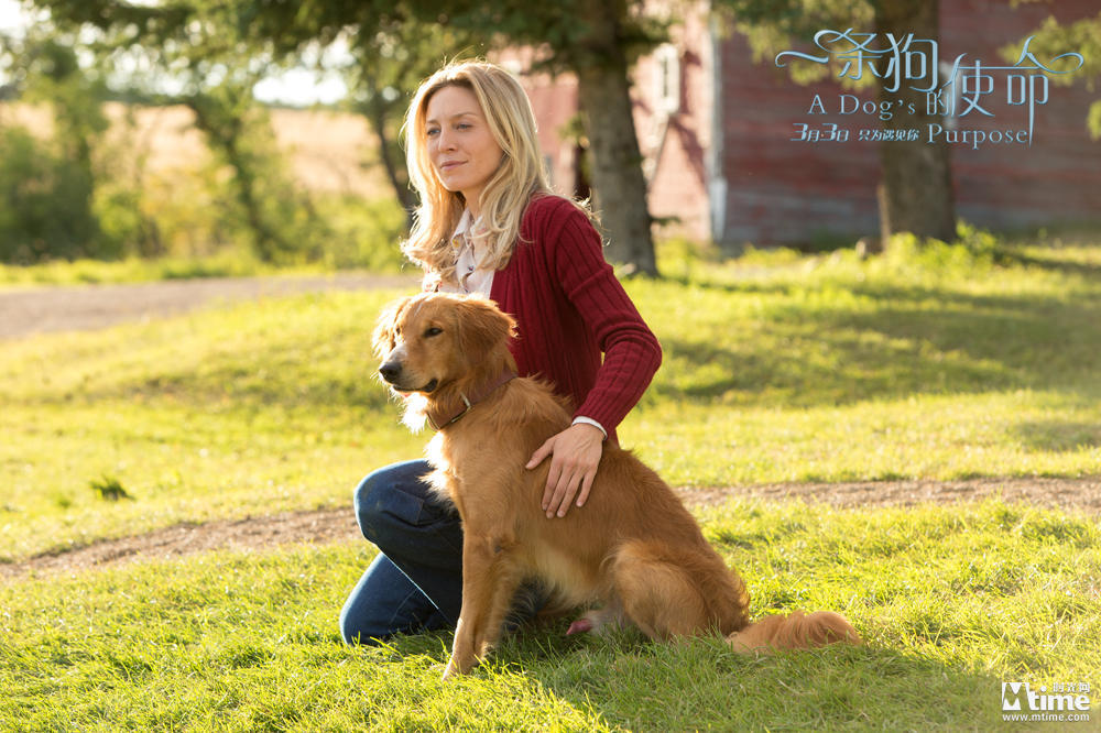 BJL平台-直20重量超直10一倍但与直10编组飞行时仅稍显迟缓(图2) BJL平台