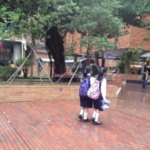 BJL平台:官方宣布:小米10/Pro国际版延期发布(图2) BJL平台集团