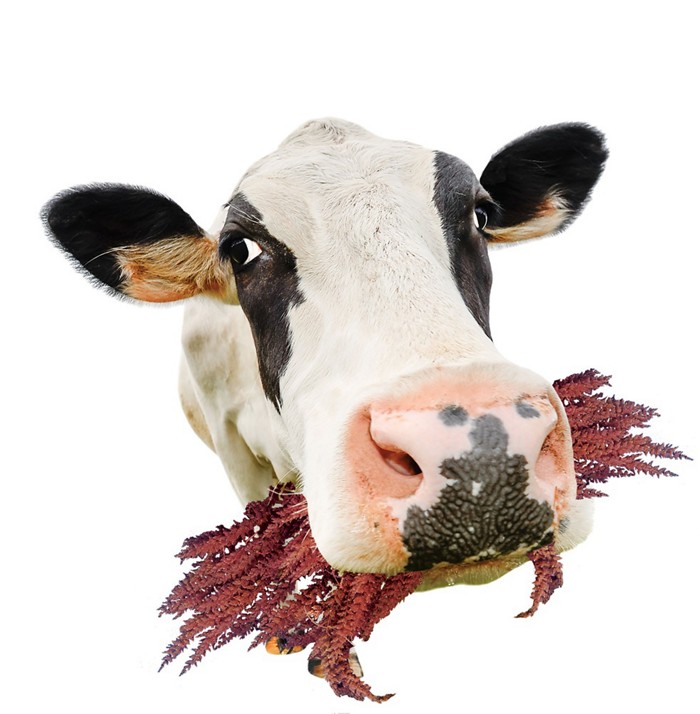 ‘BJL平台集团’美国加州万圣节派对突发枪击案已致至少4死多伤(图3) BJL平台