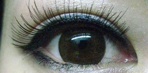 ‘BJL平台集团’要面子却丢了里子特朗普“赌博式外交”还能走多远?(图1) BJL平台集团